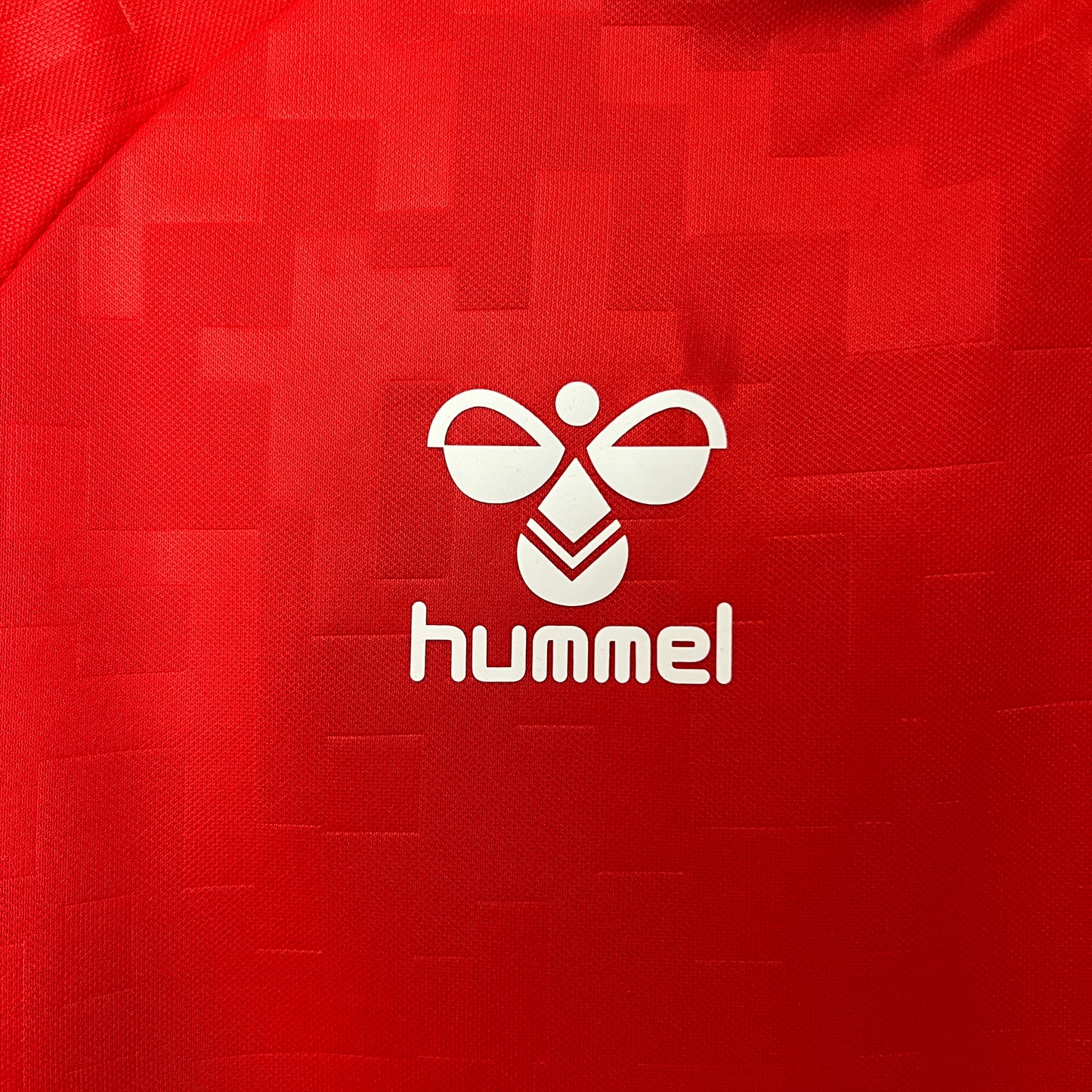 Denmark Euros 24/25 Home (Fan), Detail