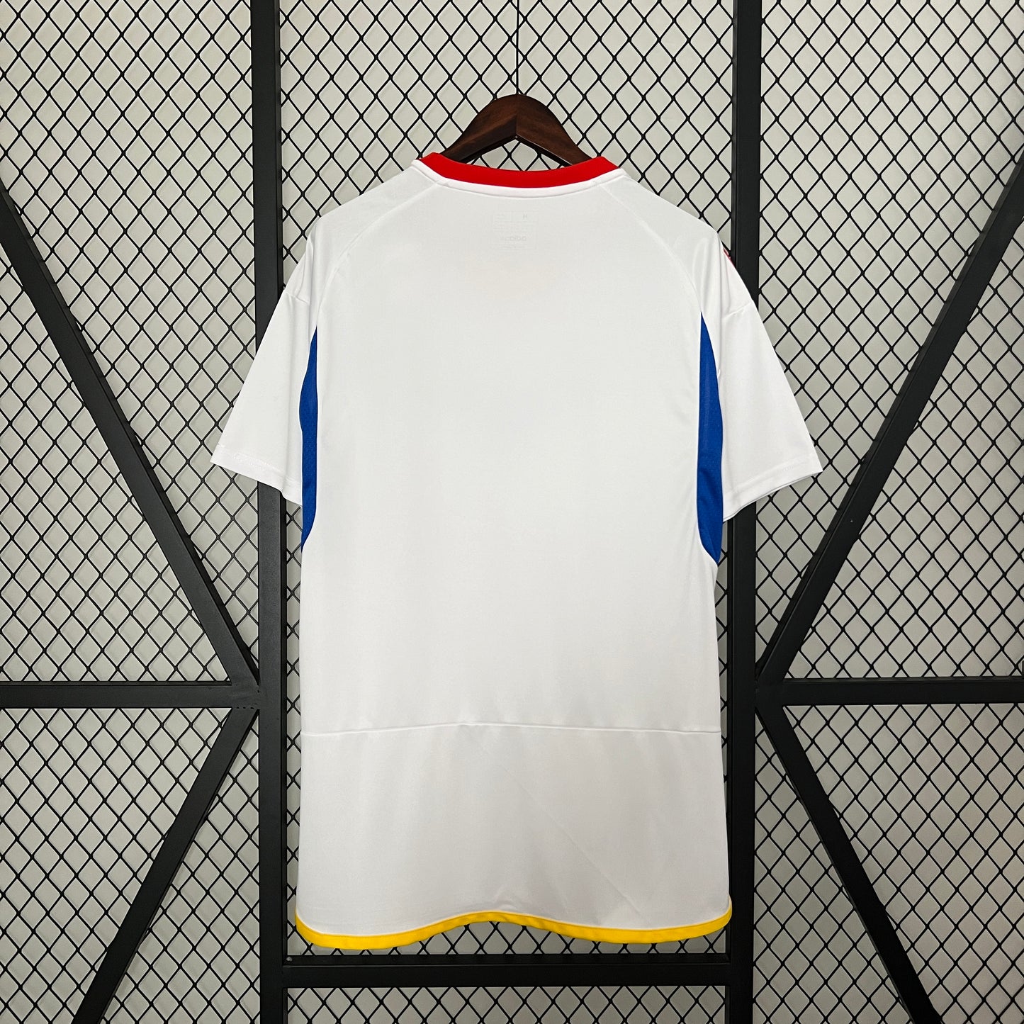 Venezuela Copa America 24/25 Away (Fan), Back Side