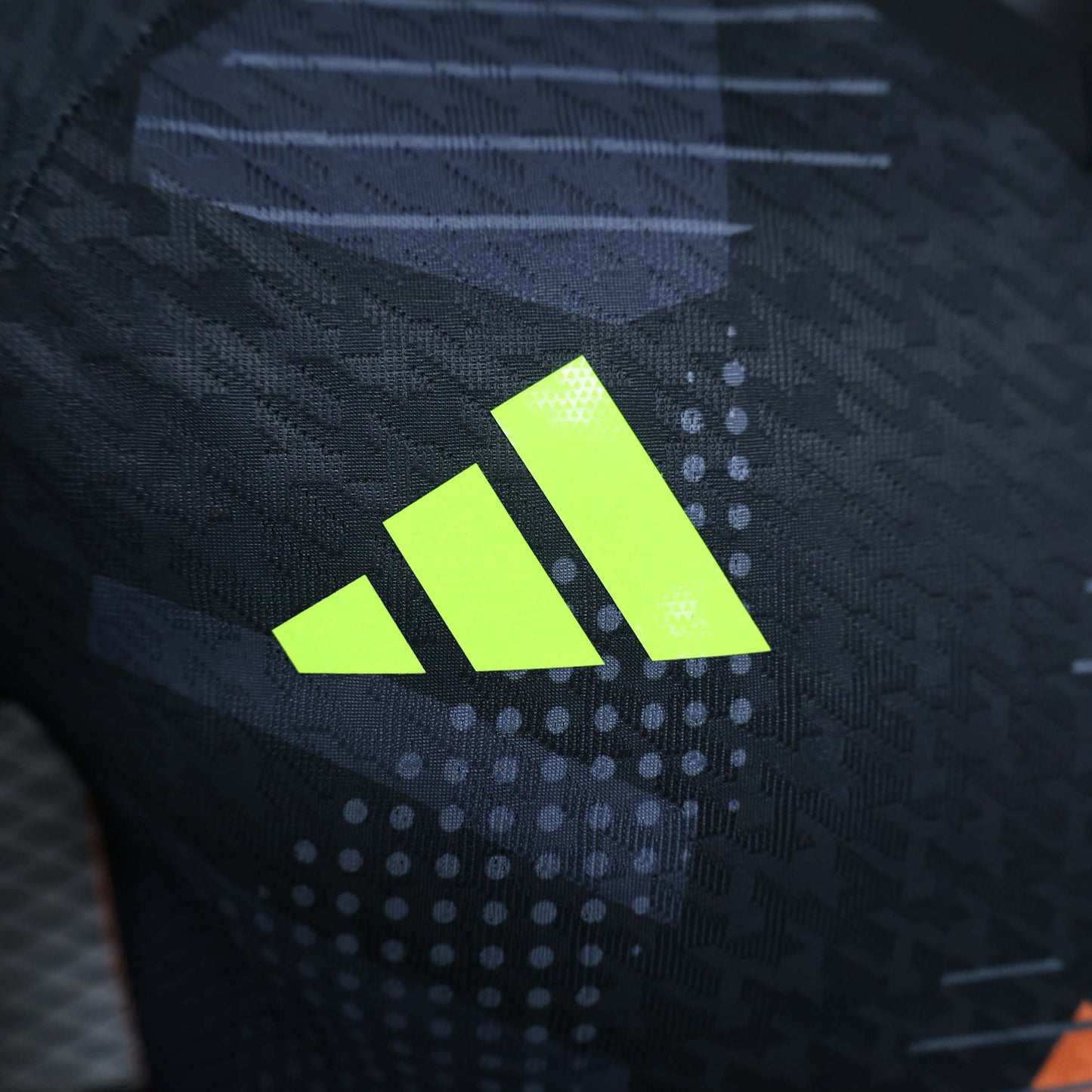 Mexico Copa America 24/25 Goalkeeper (Player), Detail