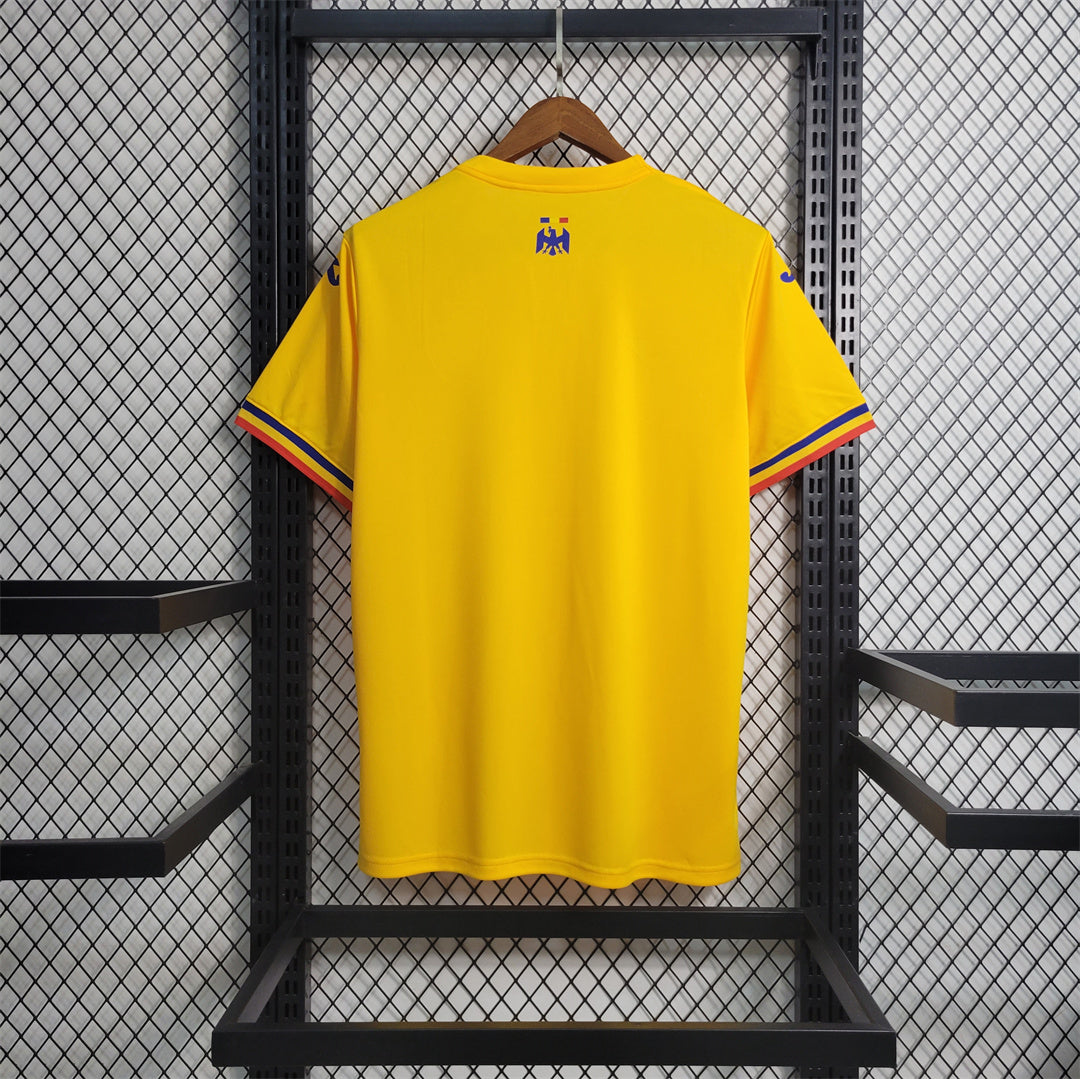Romania Euros 24/25 Home (Fan), Back Side