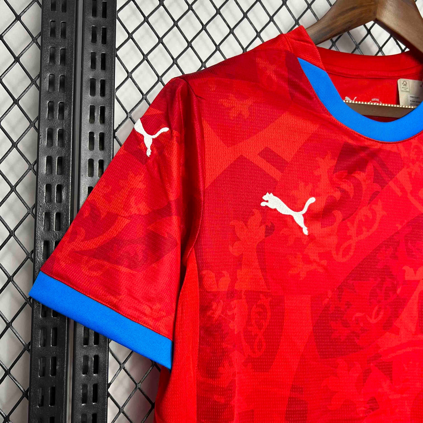 Czech Euros 24/25 Home (Fan), Detail