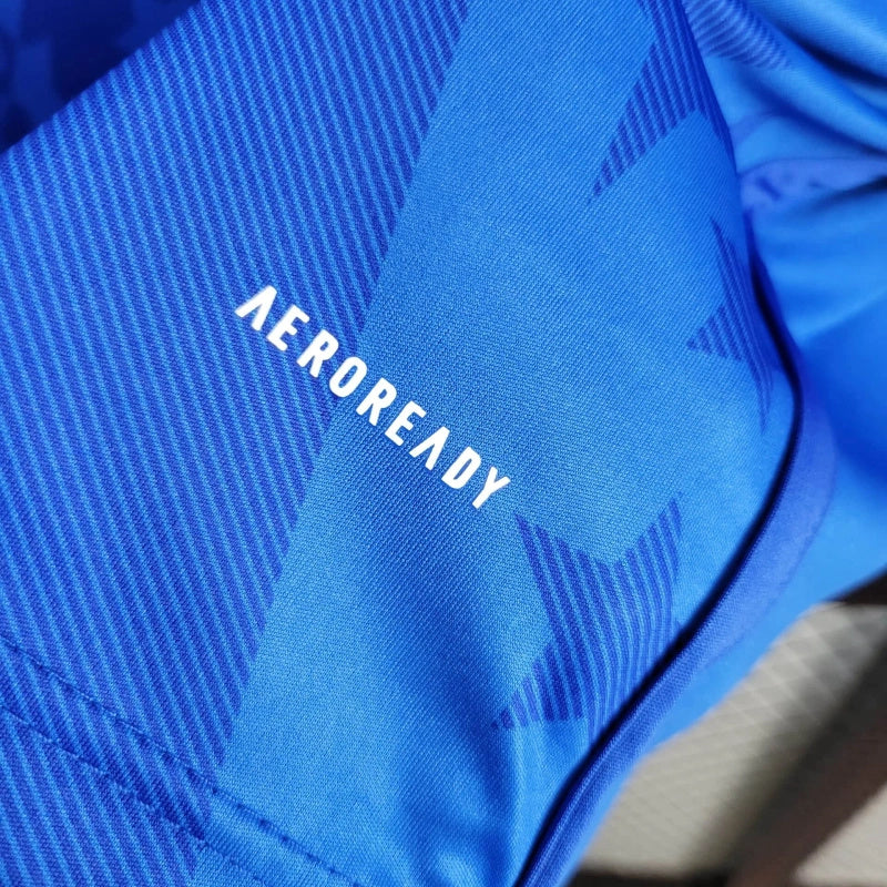 Cruzeiro 24/25 home (Fan)