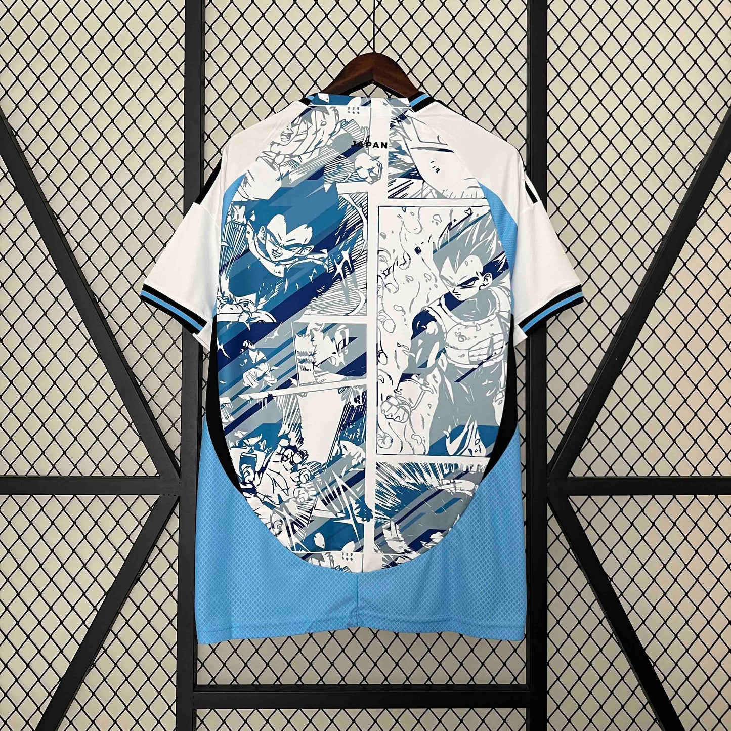 Japan 24/25 Dragon Ball Goku Edition (Fan)
