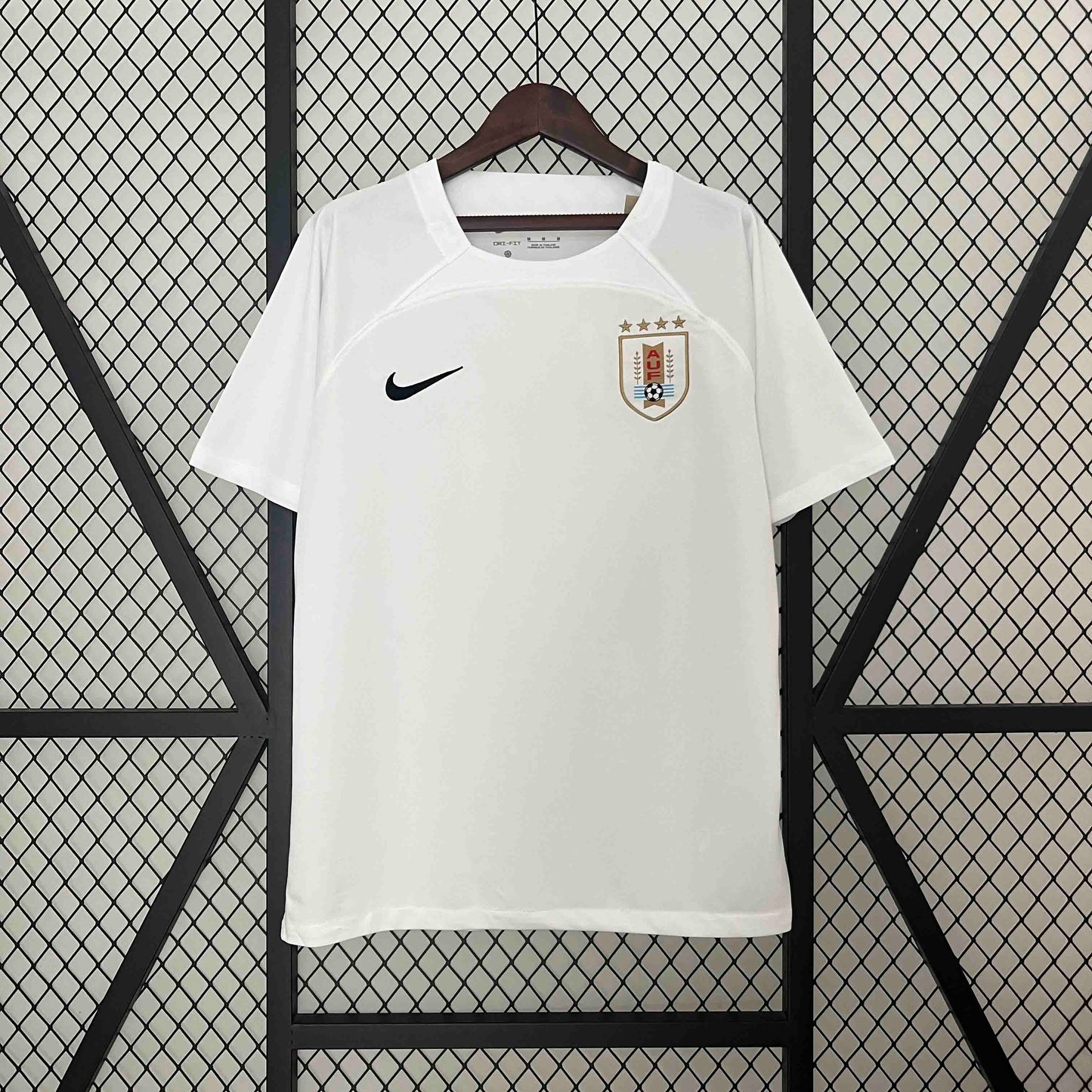 Uruguay 24/25 All White Special Edition (Fan)
