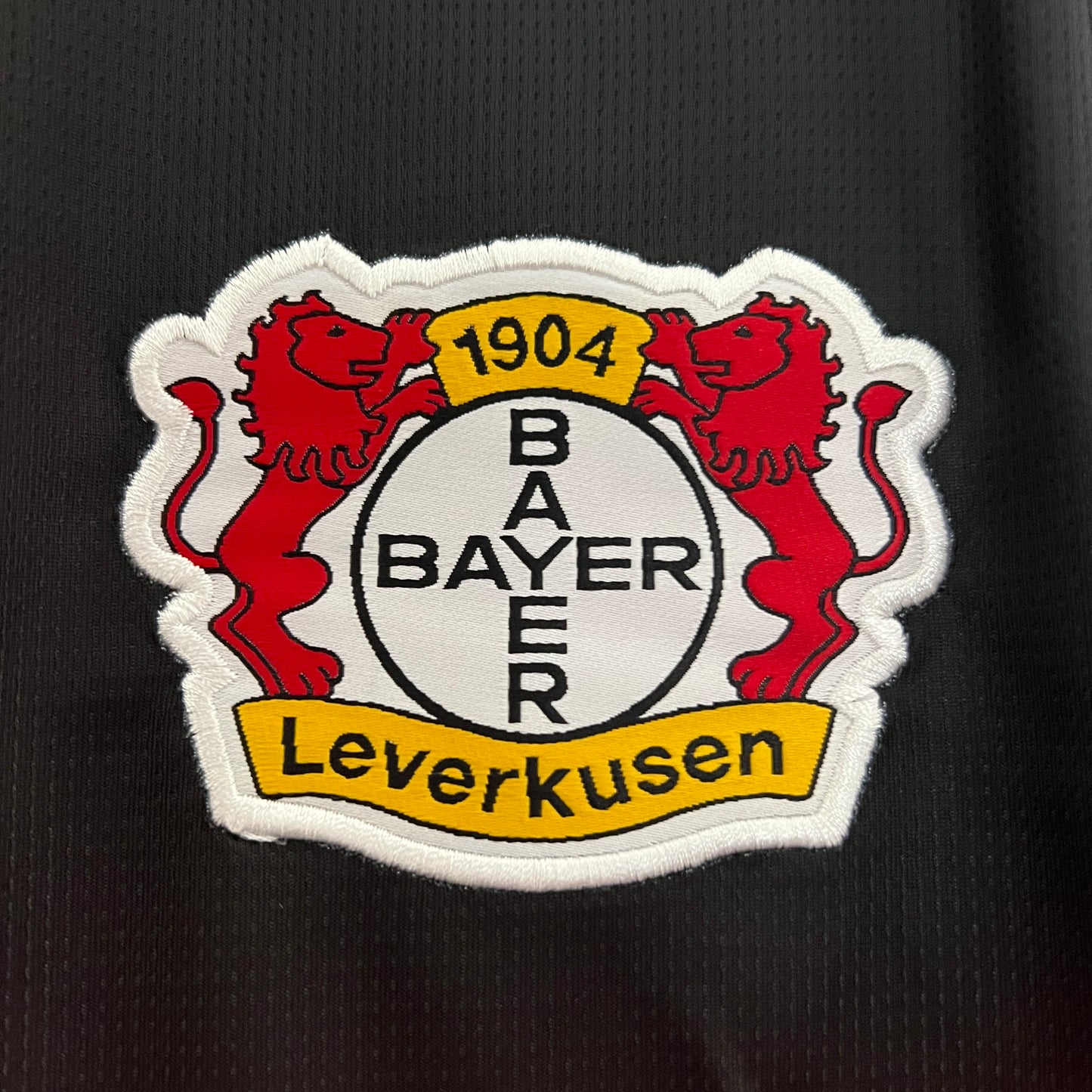Leverkusen 23/24 away (Fan)