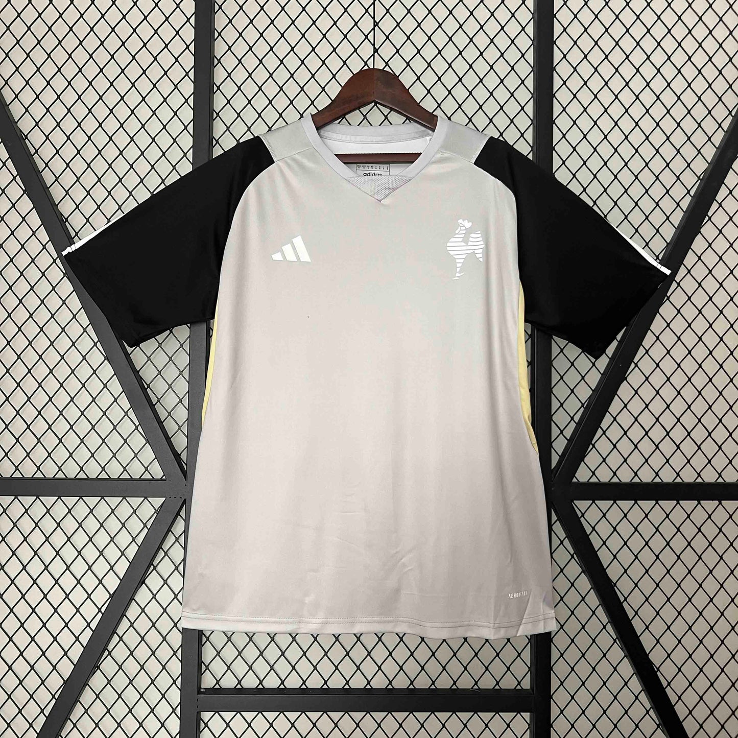 Atletico Mineiro 24/25 Training (Fan)