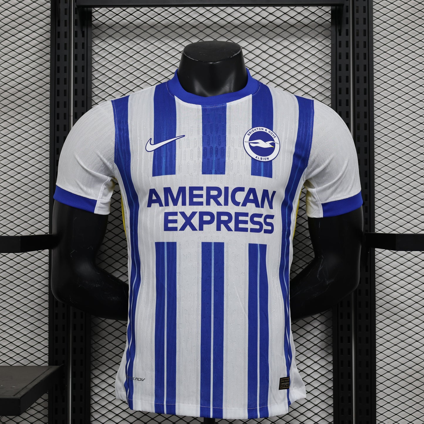 Brighton 24/25 Home (Player)