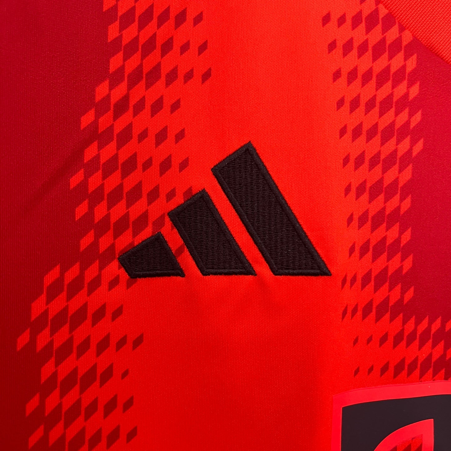Bayern Munich 24/25 Home (Fan)