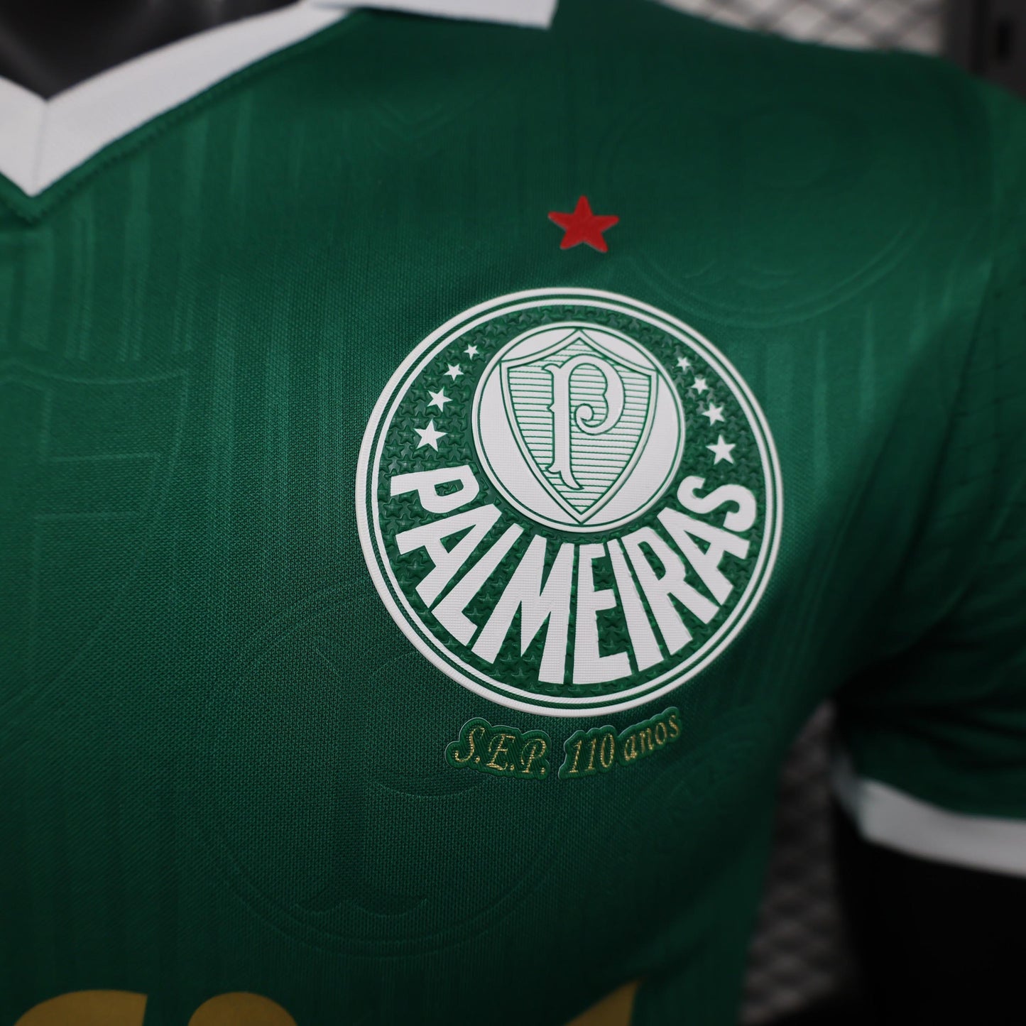 Palmeiras 24/25 Home (Player)