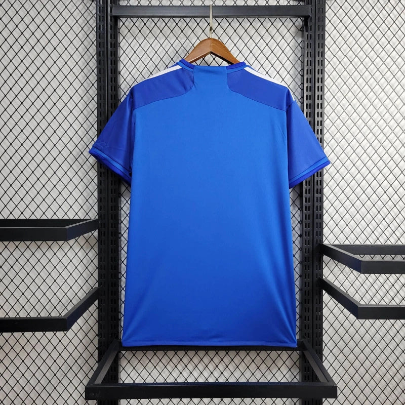 Cruzeiro 24/25 home (Fan)