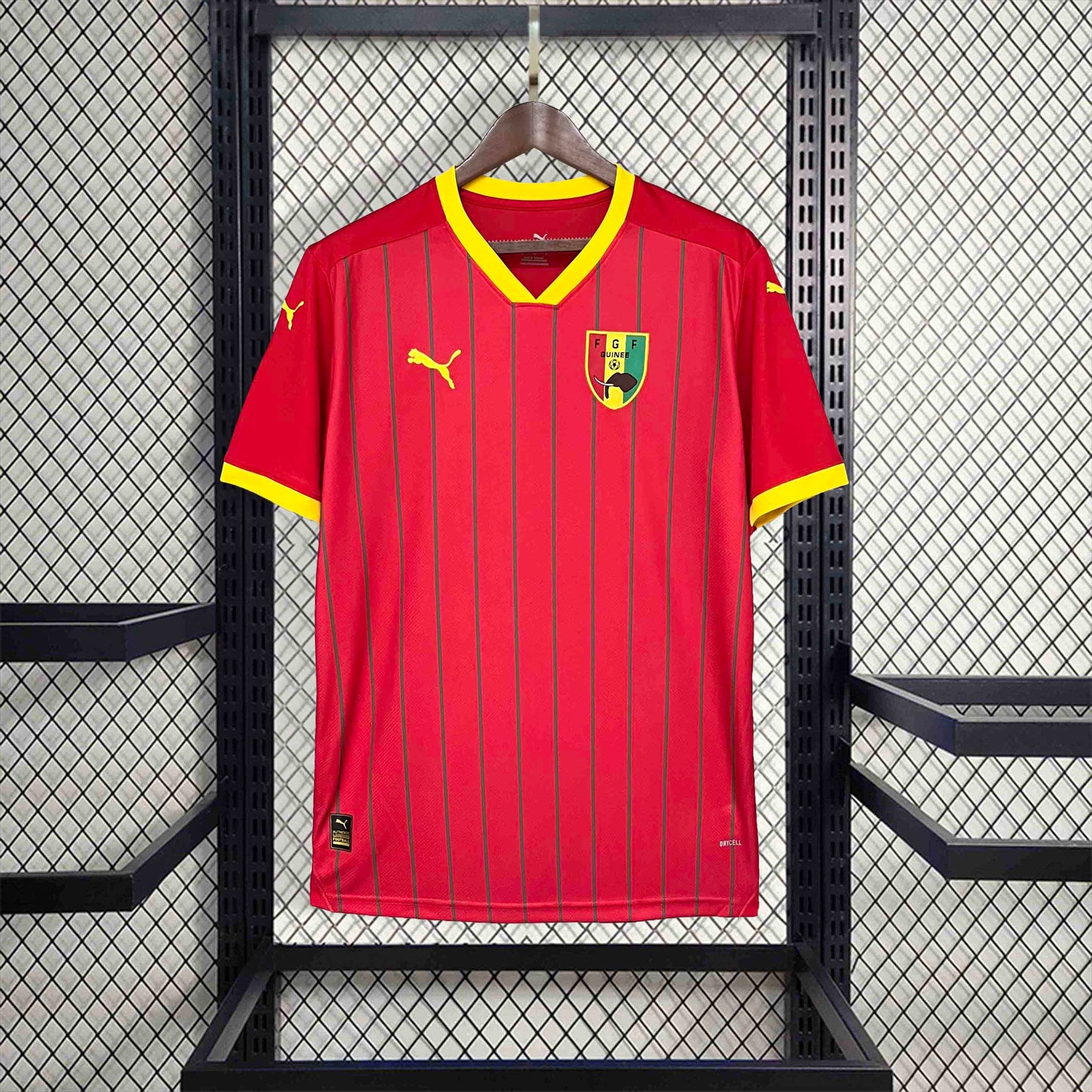Guinea 24/25 Home (Fan)