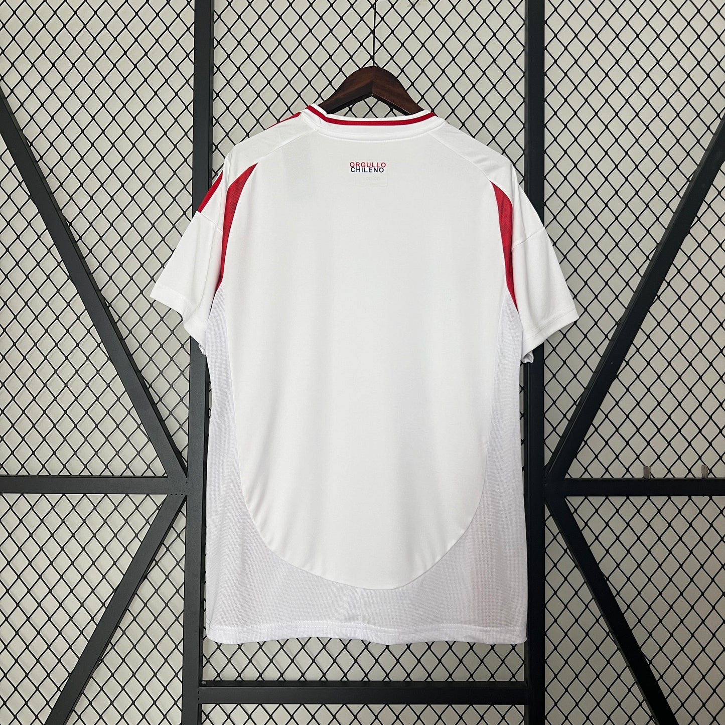 Chile Copa America 24/25 Away (Fan), Back Side