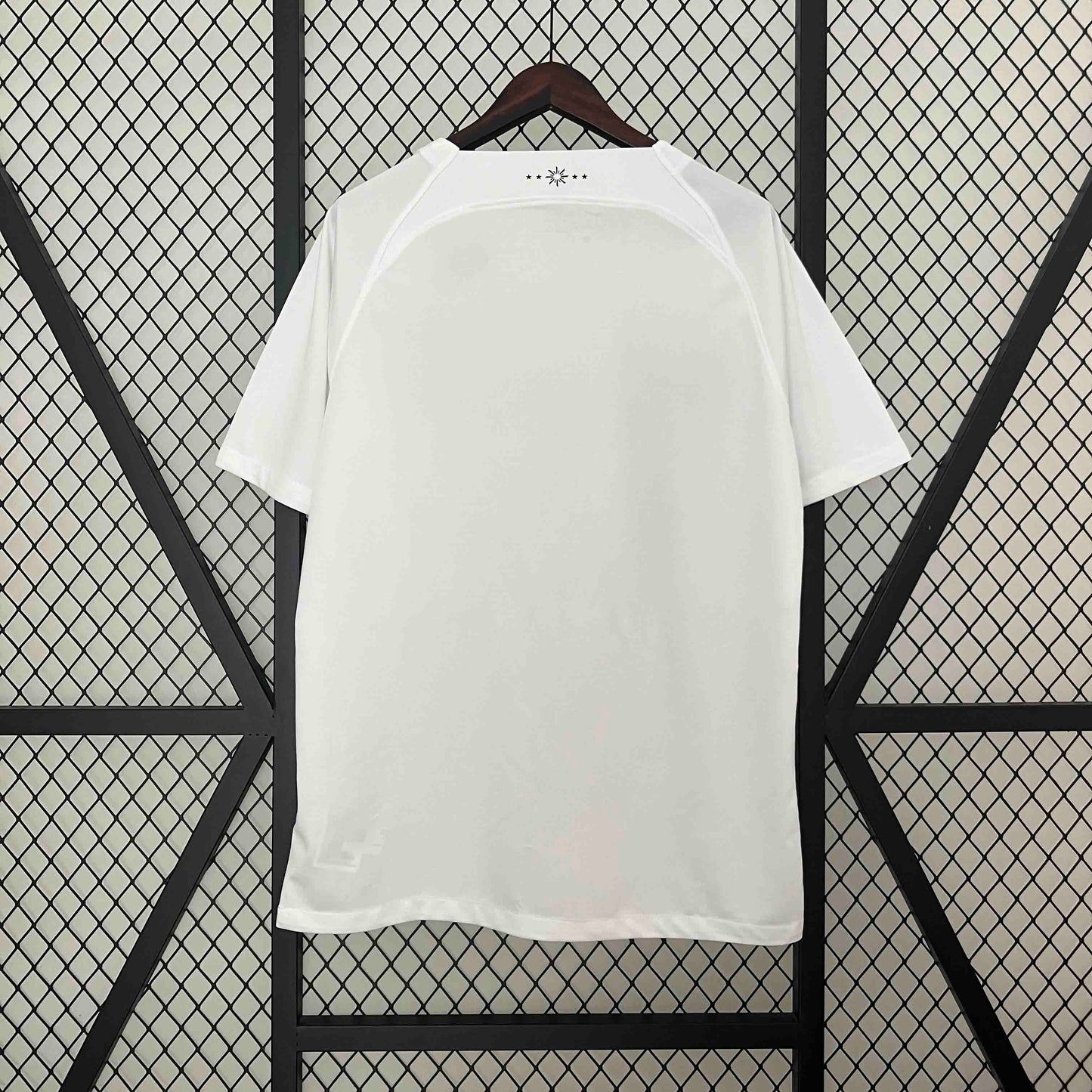 Uruguay 24/25 All White Special Edition (Fan)