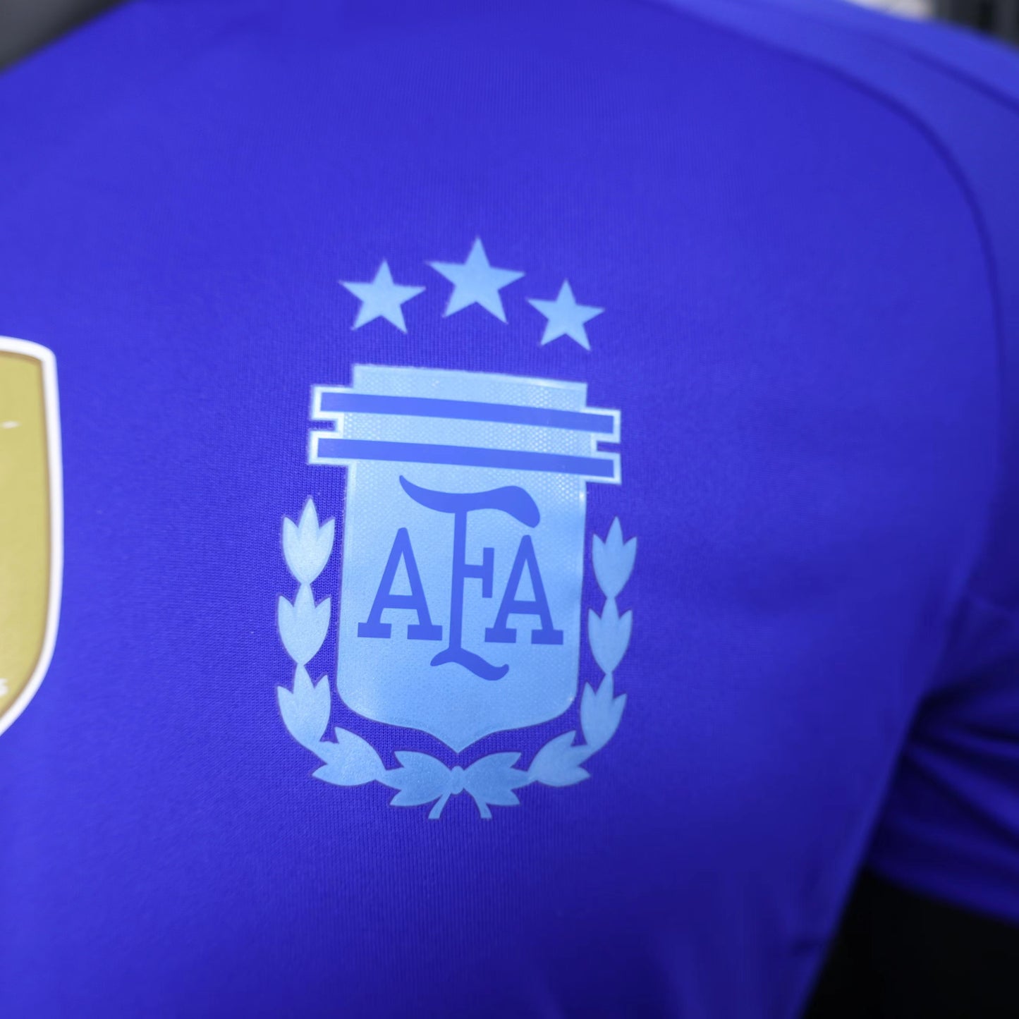 Argentina Copa America 24/25 Away (Player), Badge