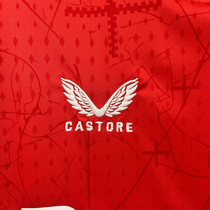 Leverkusen 24/25 Home (Fan)