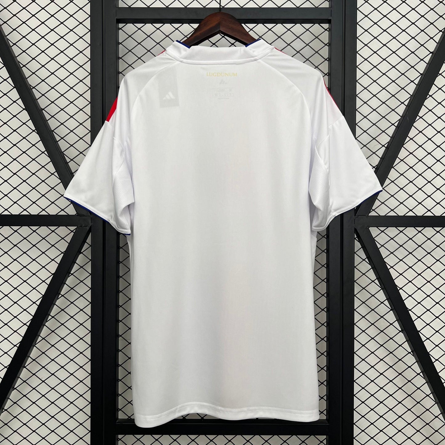 Lyon 25/26 Home (Fan)