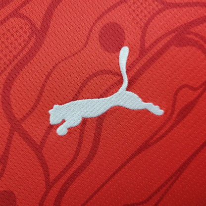 Austria Euros 24/25 Home (Fan), Detail