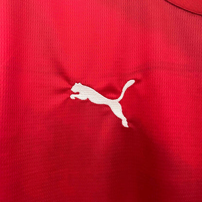 Serbia Euros 24/25 Home (Fan), Detail