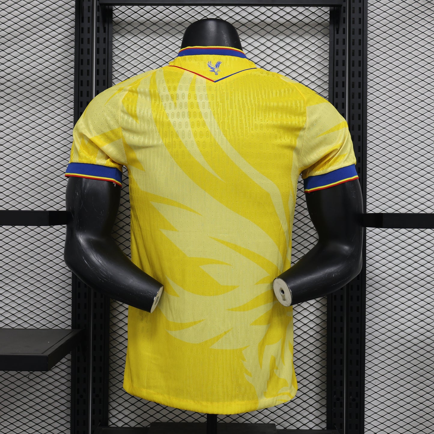 Crystal Palace 24/25 Away (Player)