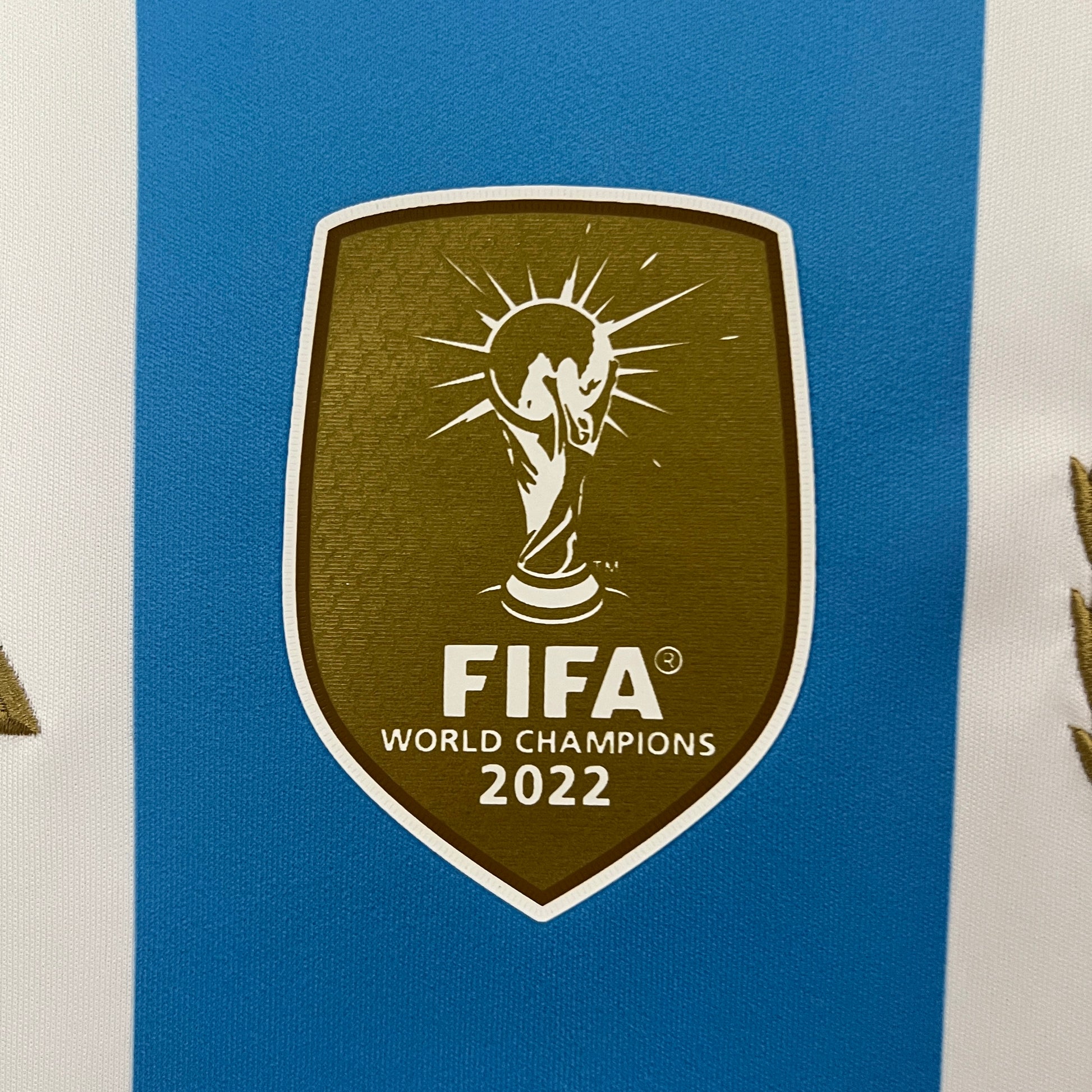 Argentina Copa America 24/25 Home (Fan), Close-Up