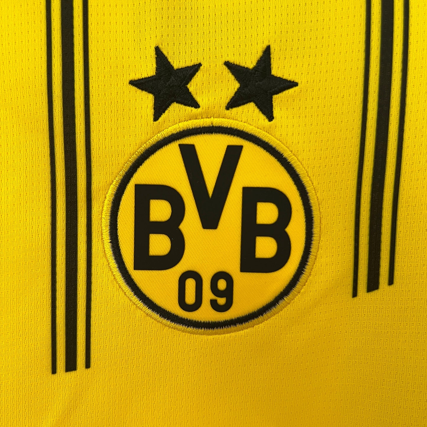Borussia Dortmund 24/25 Home (Fan)